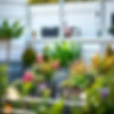 Versatile Outdoor Design with Faux Plants Outdoor setting with planter boxes containing faux plants, illustrating versatility in exterior design