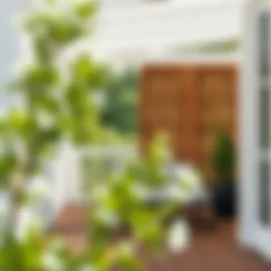 Elegant lattice privacy screen enhancing outdoor aesthetics