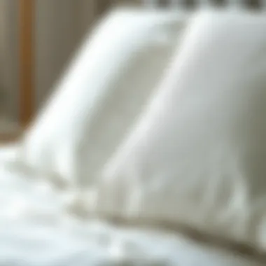 Pillow Materials That Enhance Sleep Quality Close-up of pillow materials highlighting texture and support levels for optimal sleep