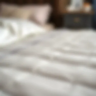 Close-up of materials used in a queen-size pull-out bed frame