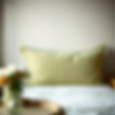 Sage Green Euro Pillow in Serene Bedroom Sage green euro pillow in a serene bedroom setting