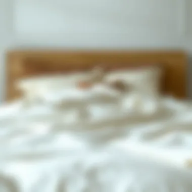 The Definitive Guide to Cream Twin XL Duvet Covers Summary