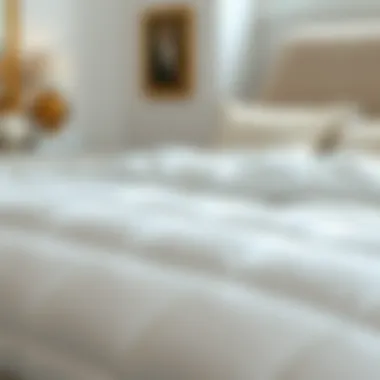 Notable The Definitive Guide to European White Goose Down Comforters: King Size and Lightweight Options Notable The Definitive Guide to European White Goose Down Comforters: King Size and Lightweight Options