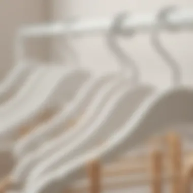 Materials and Designs of Hangers Variety of white hangers showcasing different materials and designs