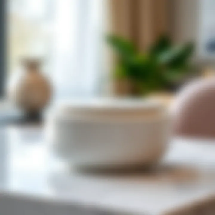 Modern lidded box made of ceramic with a sleek design