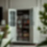 The Optimal DVD and Blu-ray Storage Cabinet: A Comprehensive Guide Introduction