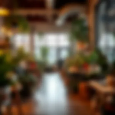 The Charm of Specialty Shops for Indoor Plants An inviting specialty shop dedicated to indoor plants, offering expert advice and unique varieties.