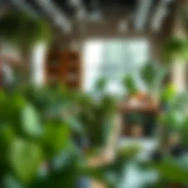 Sustainable Sourcing of Indoor Plants: A Growing Trend A collection of sustainably sourced indoor plants displayed attractively in a modern retail environment.