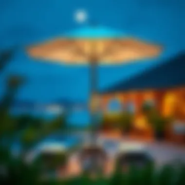 The Standalone Umbrella: A Comprehensive Guide Summary The Standalone Umbrella: A Comprehensive Guide Summary