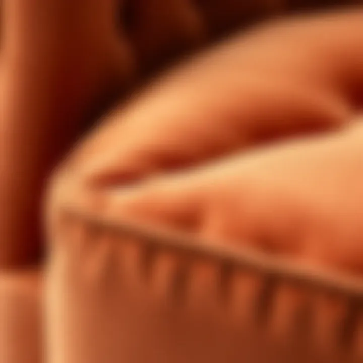 Close-up detail of velvet fabric showcasing texture and quality