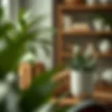 Thoughtful Gifts for Plant Enthusiasts Introduction