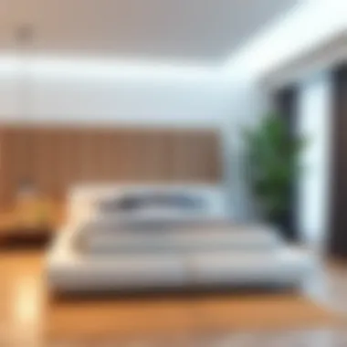 Minimalist Platform Bed Frame Design A minimalist platform bed frame demonstrating space efficiency.