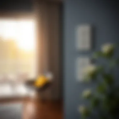 Home Installation of Electric Plug Protectors Installation of electric plug protectors in a home setting