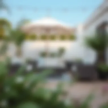 Essential Care for Lasting Outdoor Aesthetics Maintenance tips for patio furniture care