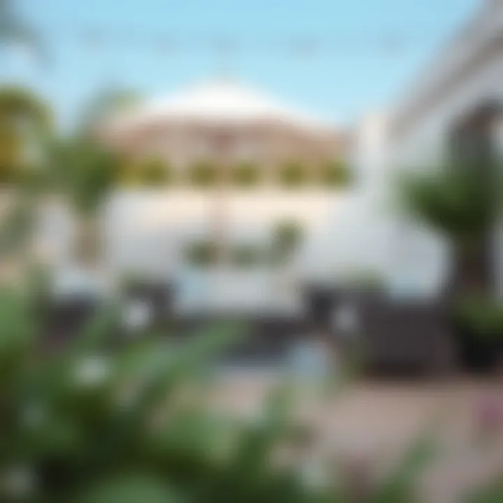 Essential Care for Lasting Outdoor Aesthetics Maintenance tips for patio furniture care