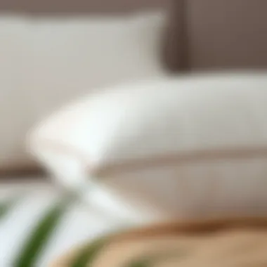 Materials in Thin Flat Bed Pillows Close-up of the materials used in thin flat bed pillows