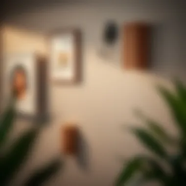 Demonstration of weight capacity considerations for command hooks